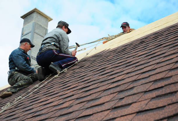 Best Storm Damage Roof Repair  in Ashland, OH